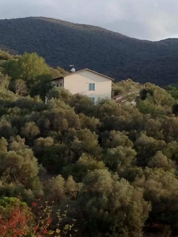Tenuta Di Alberese Italy